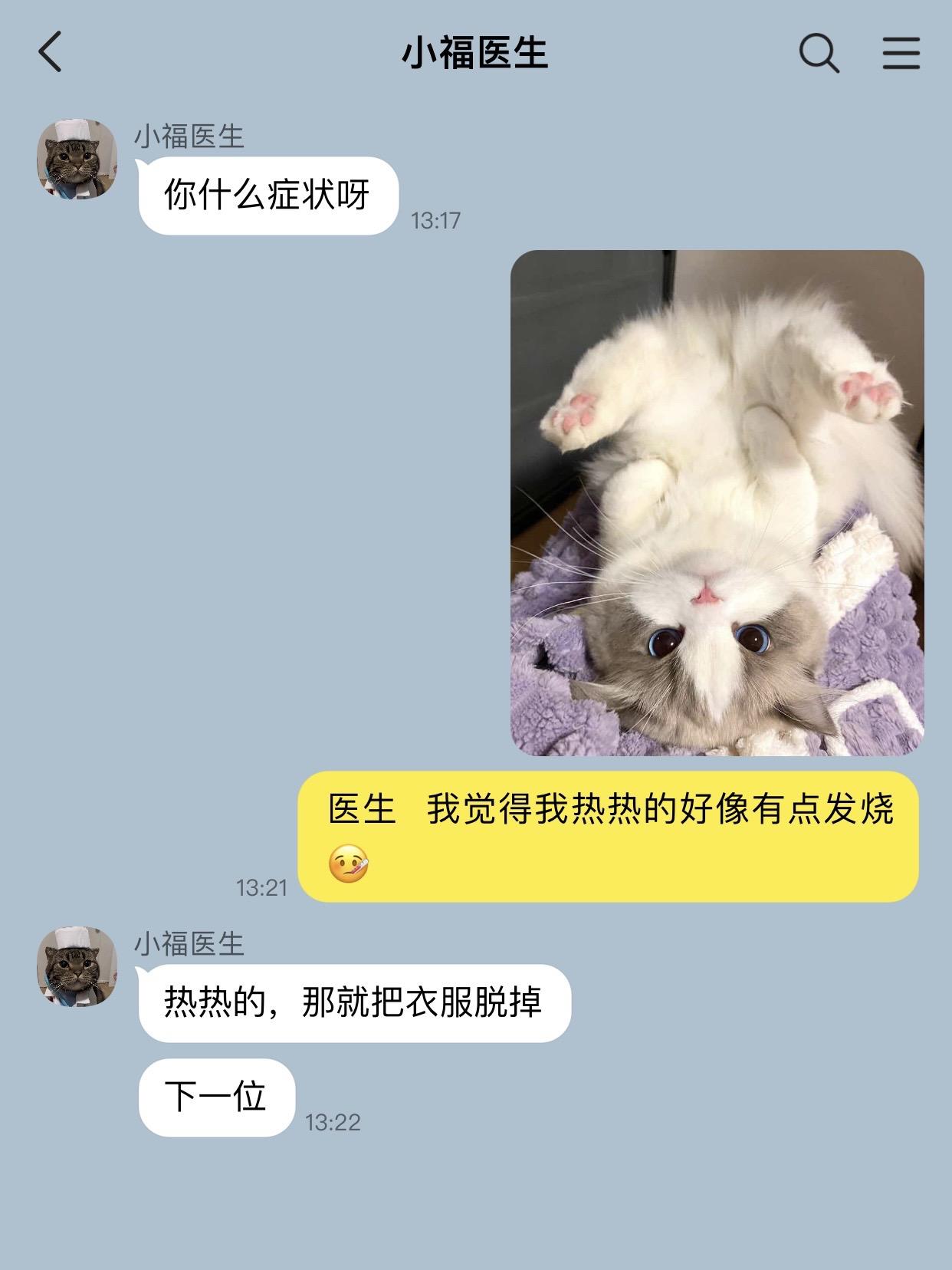 当小猫偷拿手机在线问诊医生。