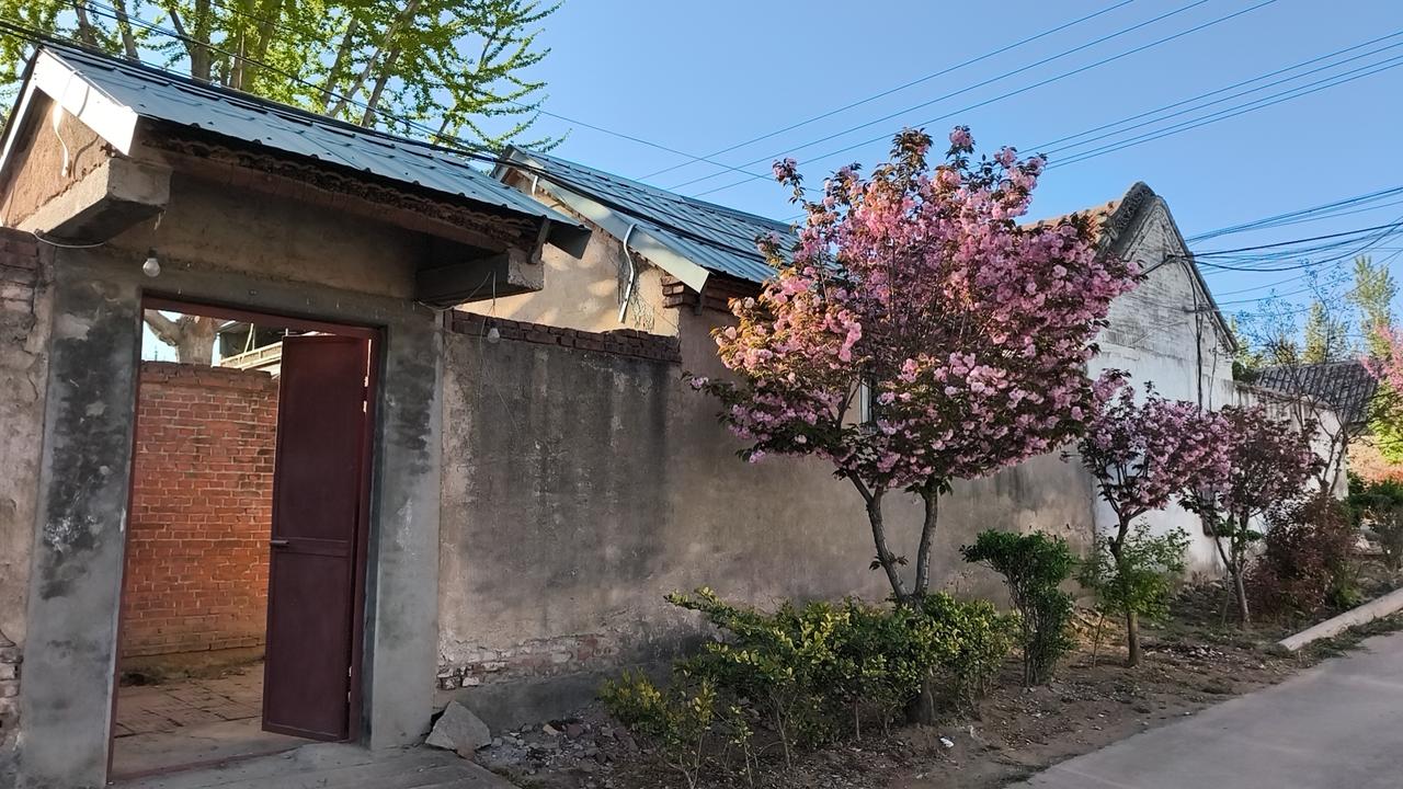 给母亲打了一个电话。
母亲说，和了面，剁了胡萝卜肉馅的水饺，还擀了面棋子。
傍晚