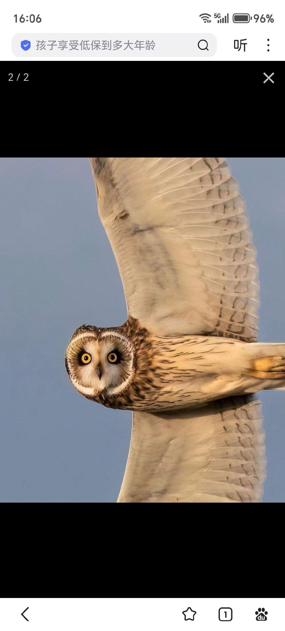什么飞行姿势，像极了闺蜜的一字马