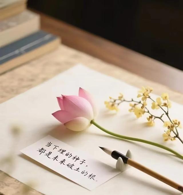 男人整天丧不一定抑郁，多半是缺钱缺爱缺人陪，生活没盼头。在外硬撑回家还要面对冷暴