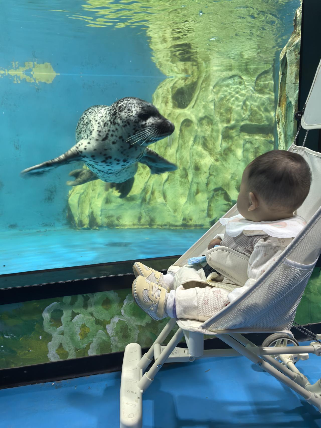 很多人活了大半辈子，总把“亏欠”挂在别人身上：觉得欠父母养育恩，欠伴侣陪伴情，欠