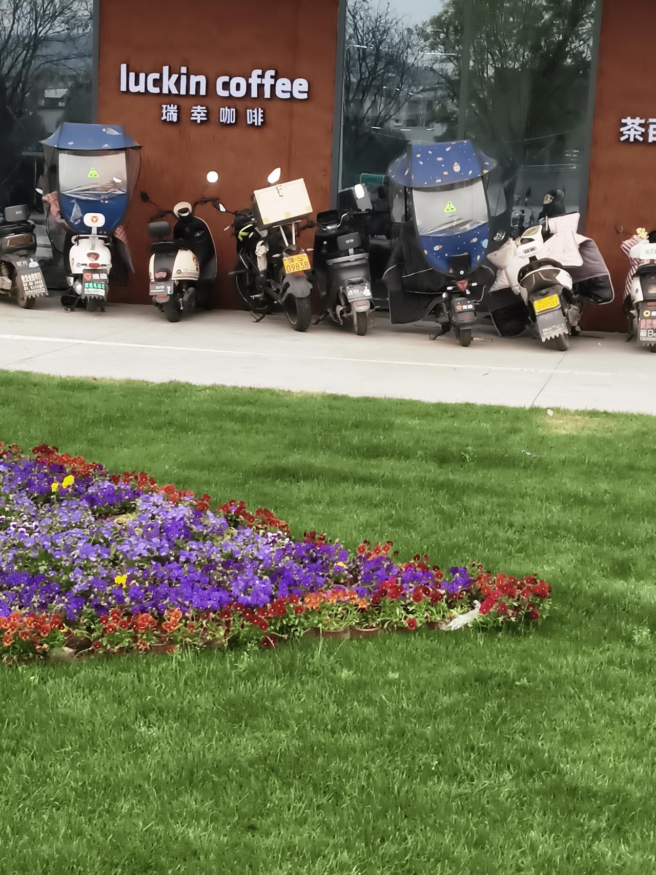 晒出你的本地生活驻马店的朋友们不知道喝咖啡的多不多，我看到的是咖啡店是越开越多，