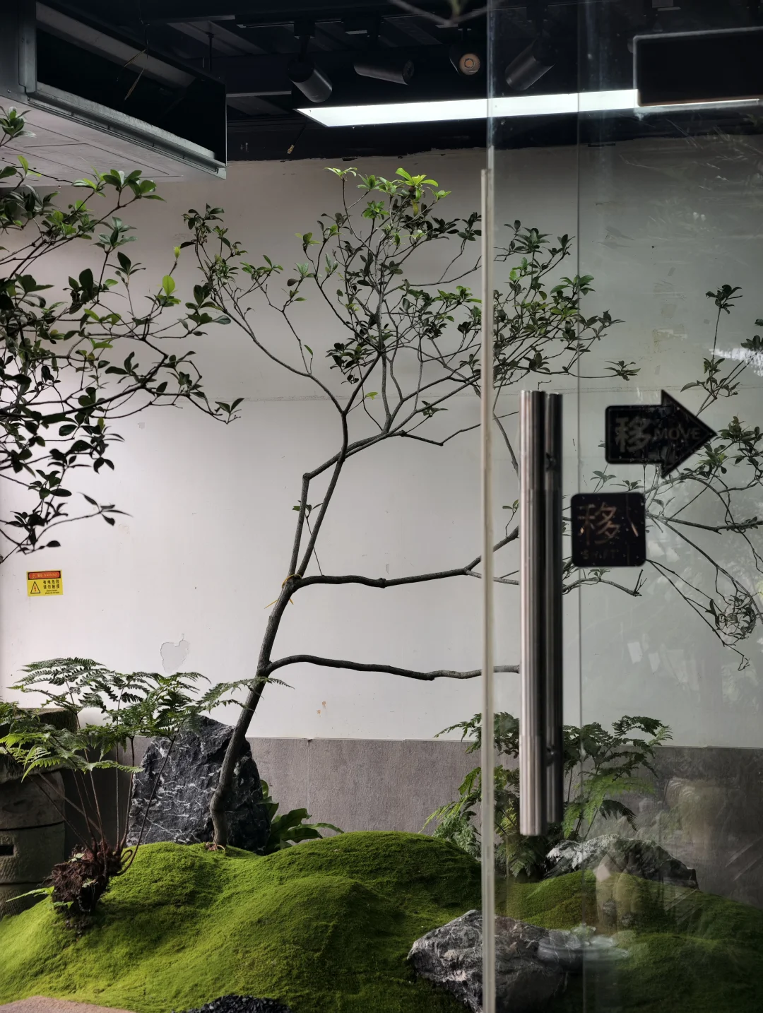 🌿绿植软装｜把山野搬进家