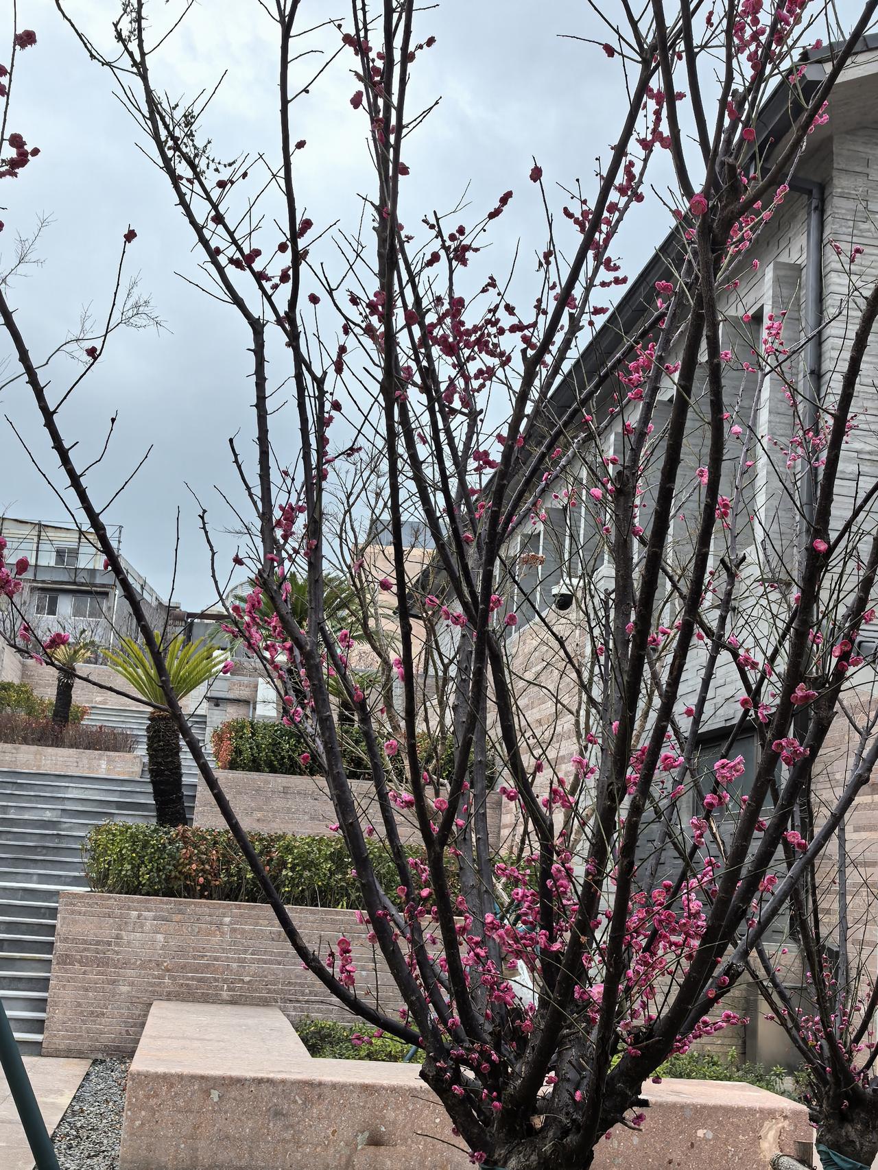 退休后，每个月八号的那声叮咚的养老金到账提示给了我足够的安全感。
      退