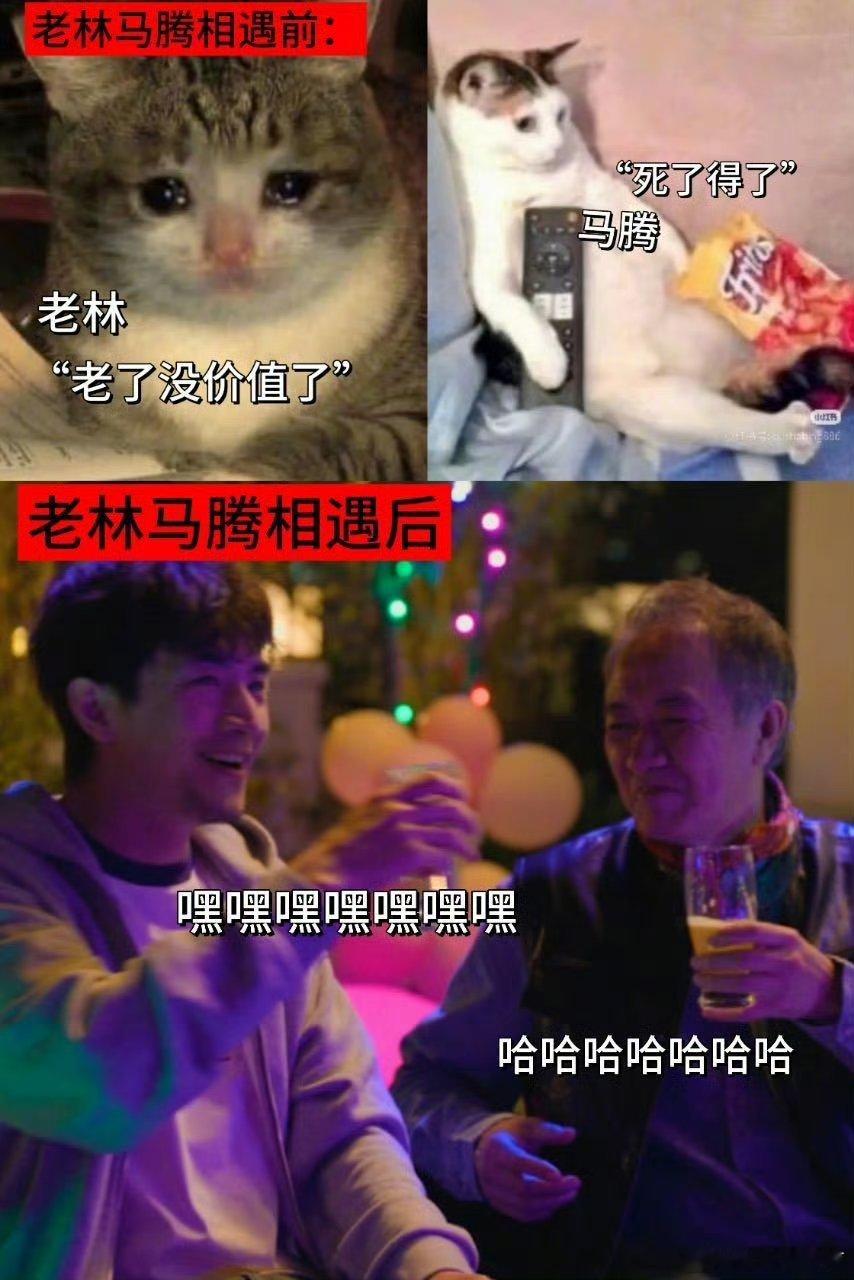 友谊是人类最好的丰荣《马腾你别走》 老林和马腾，相互救赎太好哭， 两个被时代落下