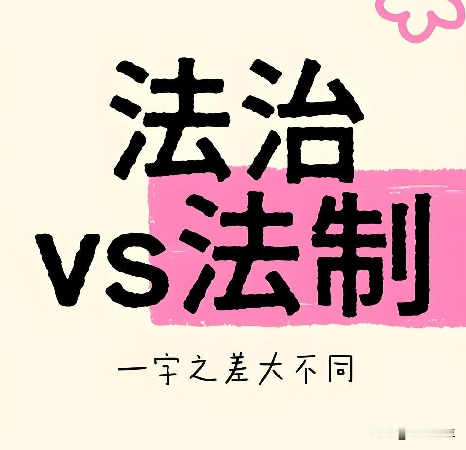 能关注到“法治”和“法制”的一字之差，说明对法律相关的概念有很强的辨析能力。下面