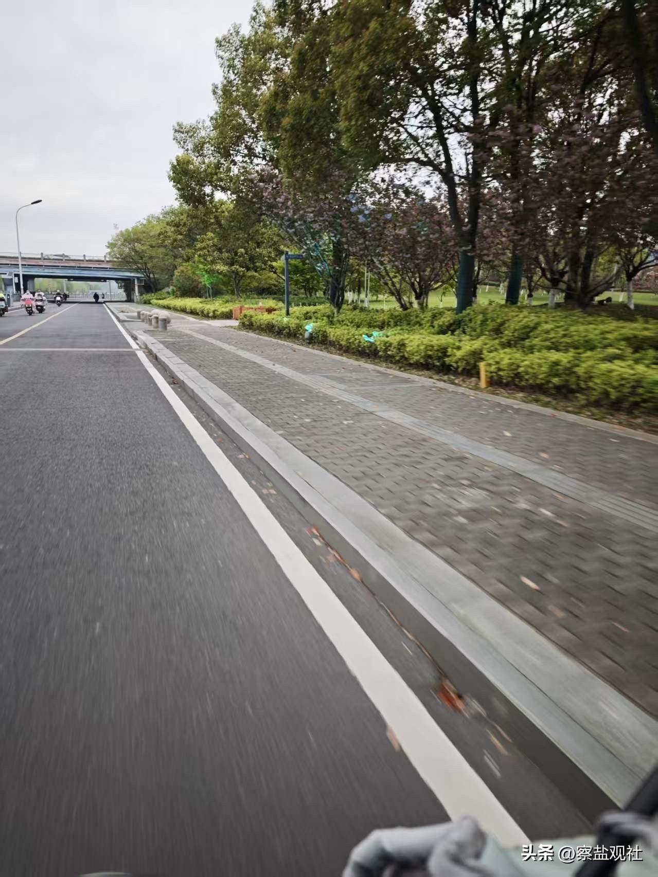 网友反馈：反应个情况，串场河水街南地段，各种树里面灯，激光灯开的太早了，这个天已