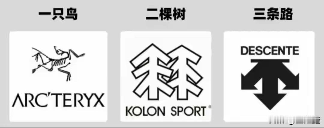 一年狂揽802亿，稳坐全球第三，“晋江首富”正在掏空中产的钱包？

最近，一份财