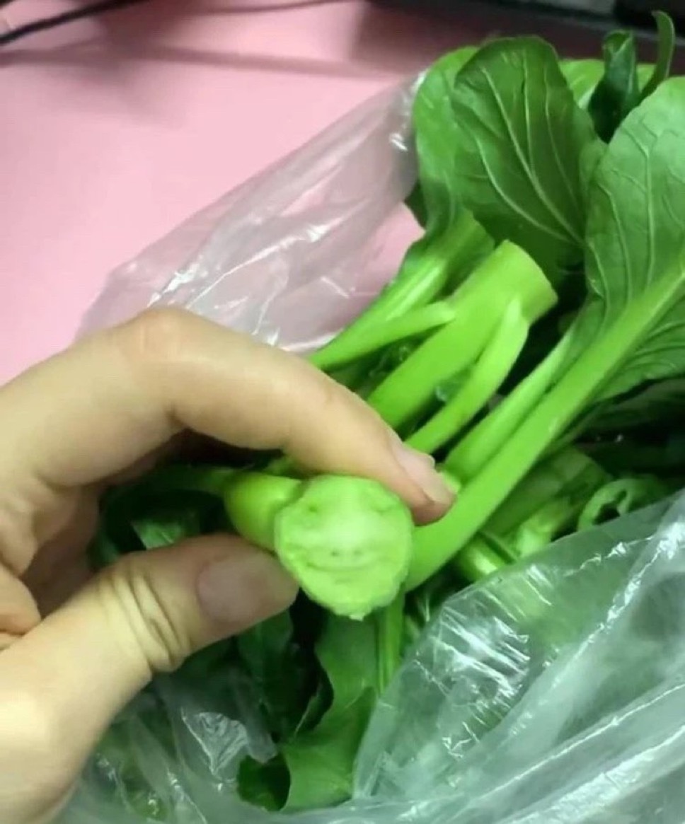 #拜登退选前大量烧钱#川普上位已经是板上钉钉的事了，拜登退选换候选人都是做最后体
