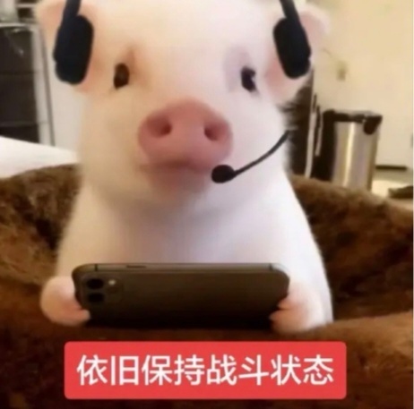 此墩就这样 ​​​
