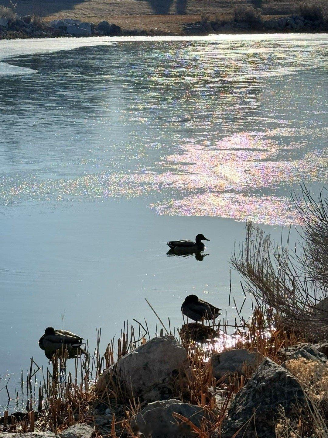 优山美水 乖妈摄影 