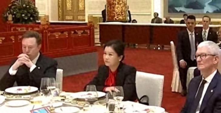 什么实力？中美宴会上，56岁中国大妈，竟能坐到马斯克和库克中间！说实话普通人哪知