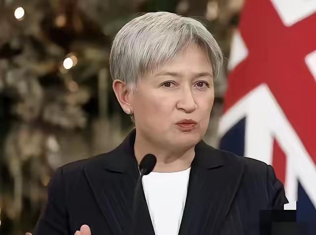 澳大利亚外长黄英贤居然是一位同性恋者，那么，她的言行会不会异于常人呢？仁爱礁事件