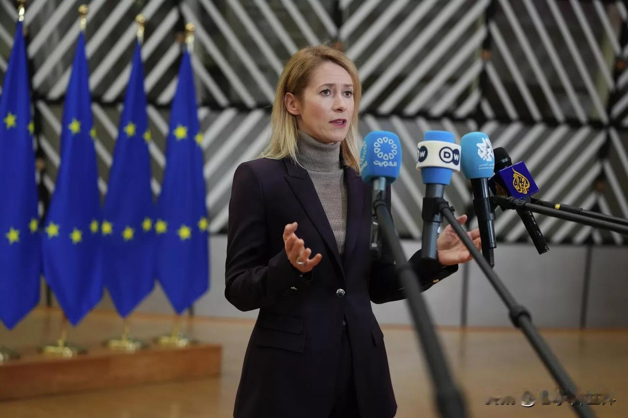 【欧盟外交负责人就特朗普对欧洲8国征收新关税发表评论】
布鲁塞尔时间2026年1