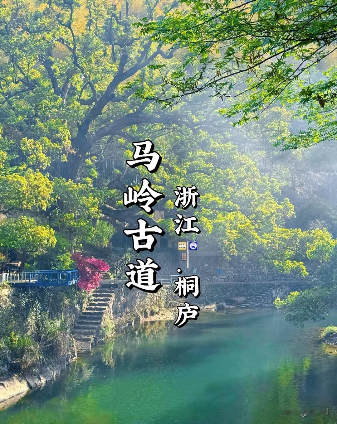 夏天来这里游山玩水是不是很凉快很惬意？桐庐真不愧是最美县城，山山水水真是让人流连
