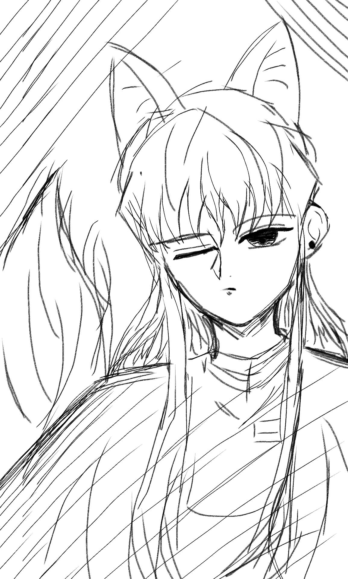 狐狸透透