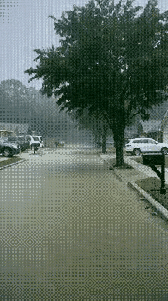 让你见证一下树大招风，是怎样被克星摧毁
一股大风摧垮了大树一丫，再来一道闪电，如