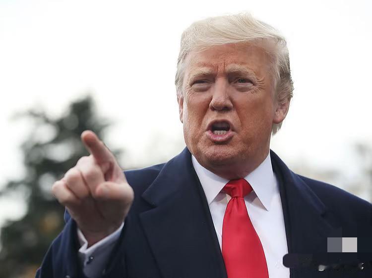 特朗普亲手打造的“政府效率部”从设立之初就是个笑话，用一个缺乏客观支撑且未经过试