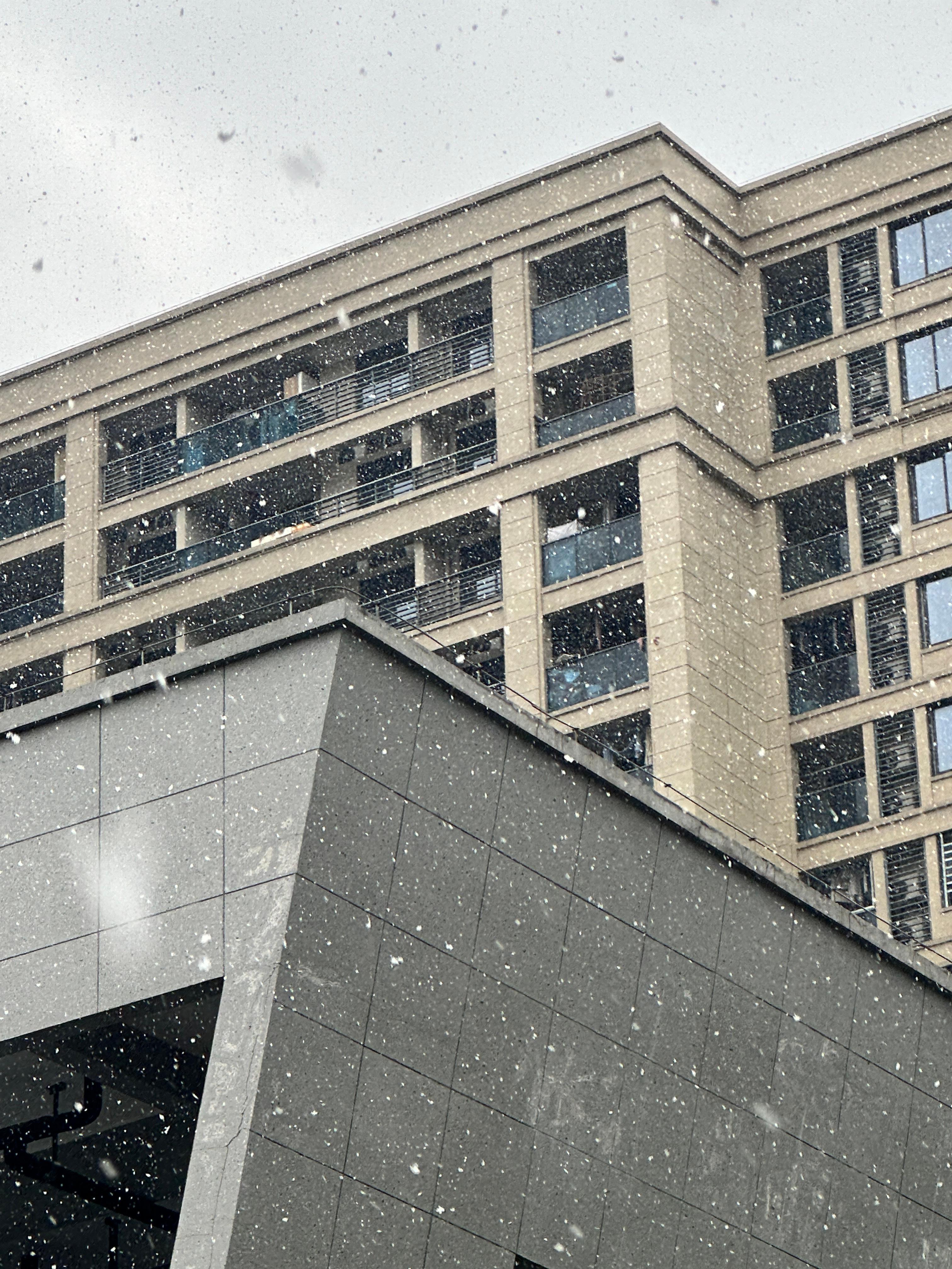 王星越 星越你的ip在上海，我想那边也下雪了吧！可以交换一张❄️吗！ 