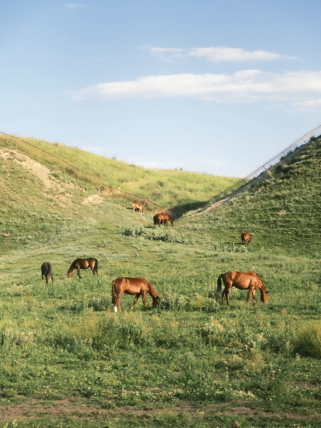 “春天生长着一颗野心”