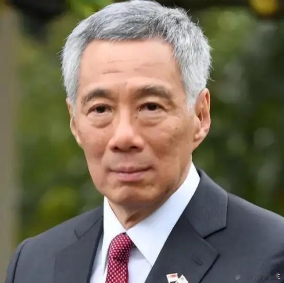 李显龙表示，真正的新加坡人要认清一个事实，新加坡不是华人国家，只是华人占多数而已