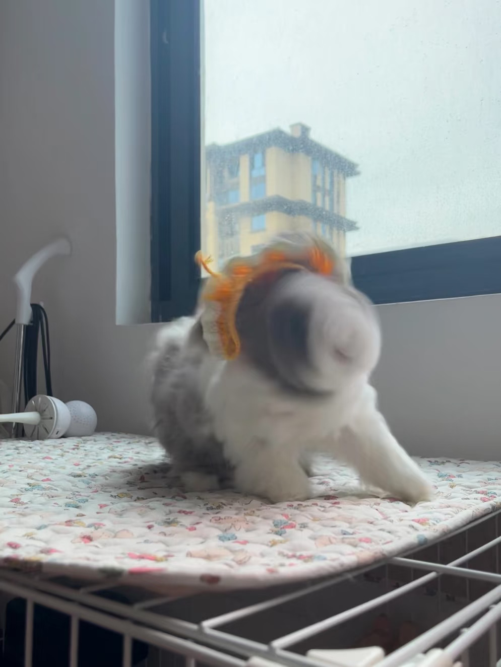 起飞