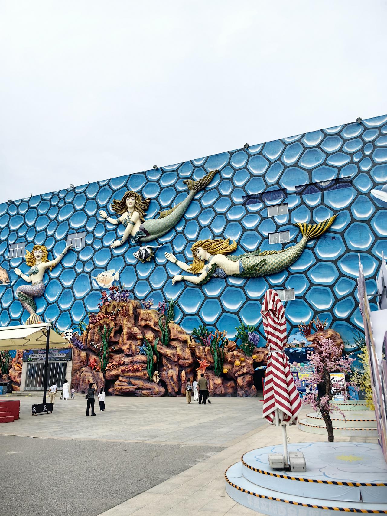 浐灞华夏文旅海洋城一日游，一场场演出太超值了！

今天是2026年9月20日，星