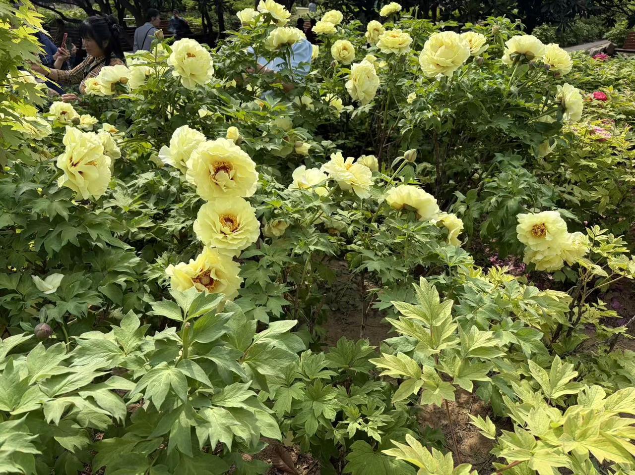 魔攻记录他他他他的意思就是这样的话我就喜欢这种感觉自己去拿吗？