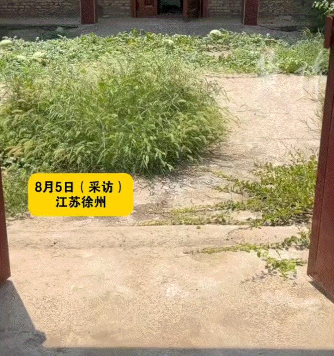 “离了个大谱！”江苏徐州，一男子离开老家3个月，临走之前在院子里洒了除草剂，谁知