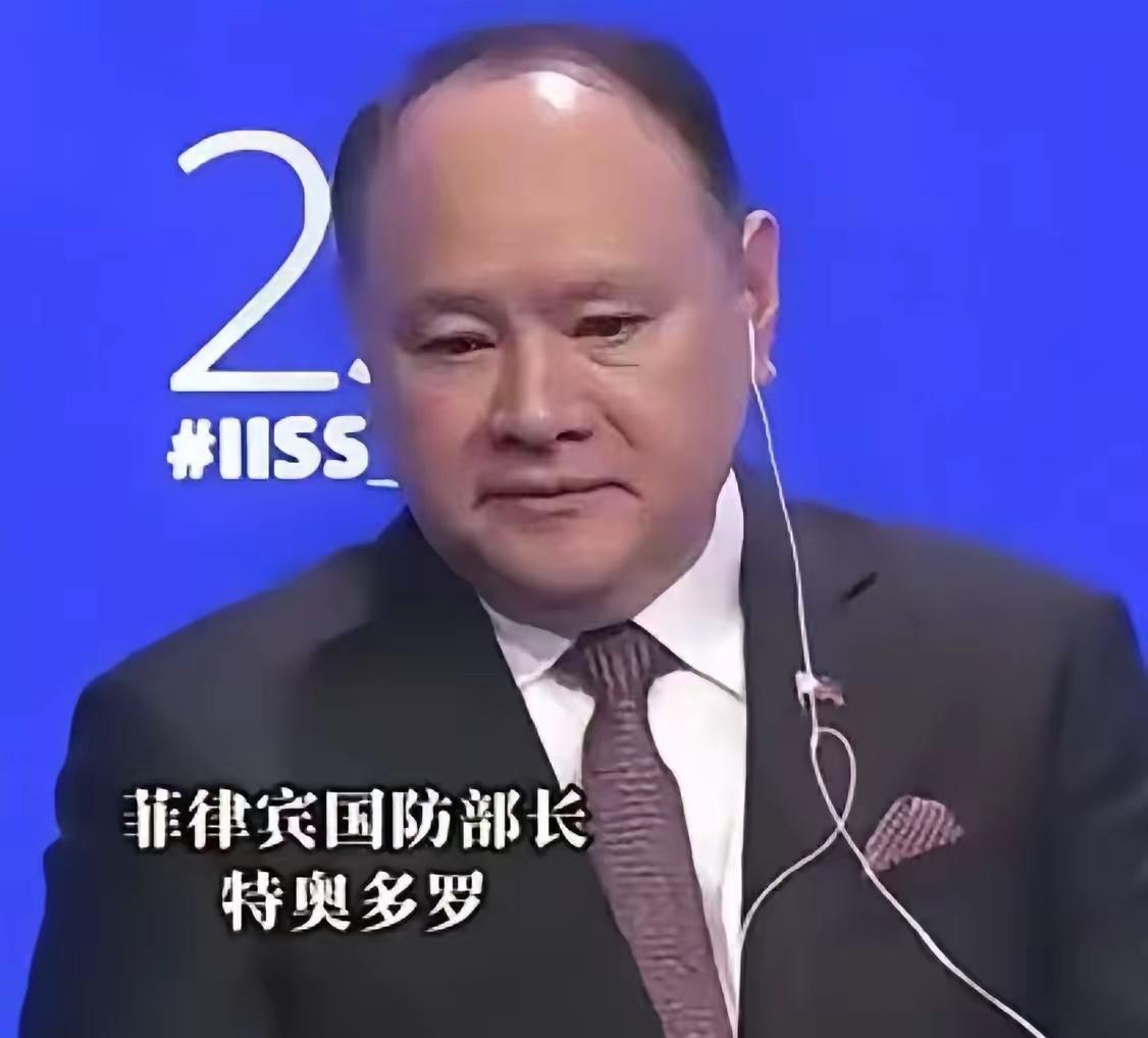 7月24日，菲律宾国防部长特奥多罗接受媒体采访时表态：已经受够接连遭遇的局面，先