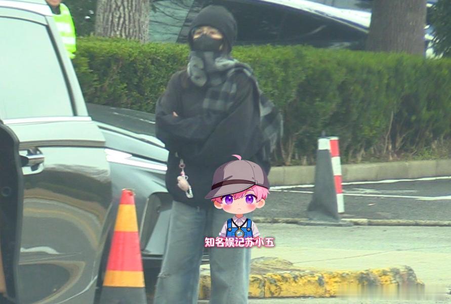 白鹿抓私生无果，怒甩围巾泄愤：被逼至极限的无奈反抗

2026年2月26日，白鹿