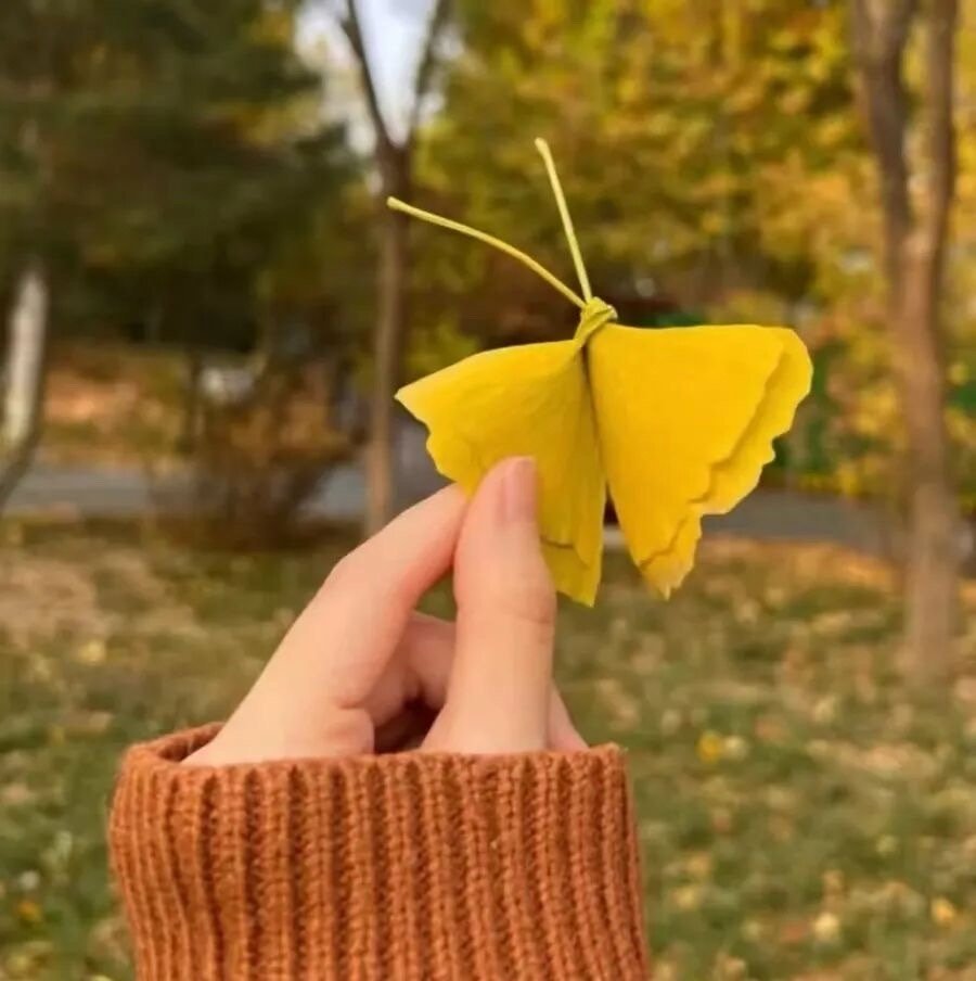 你说时间不对 我知道你也动心了 只是这一生山高路远 我们不过尔尔 ​​​