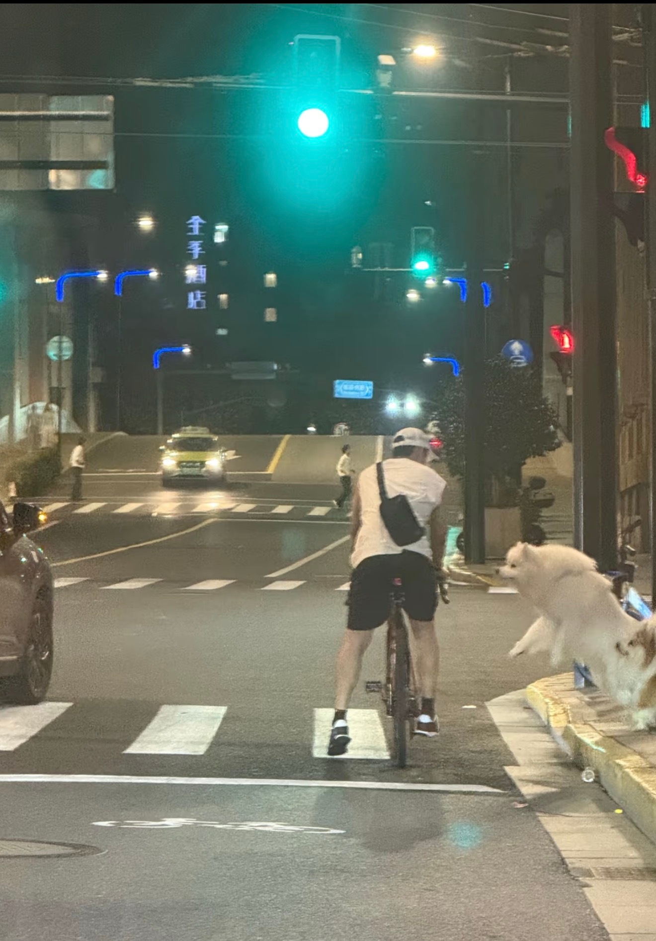 原来昨天也带夏天粗来丸了 cr: 侵删 