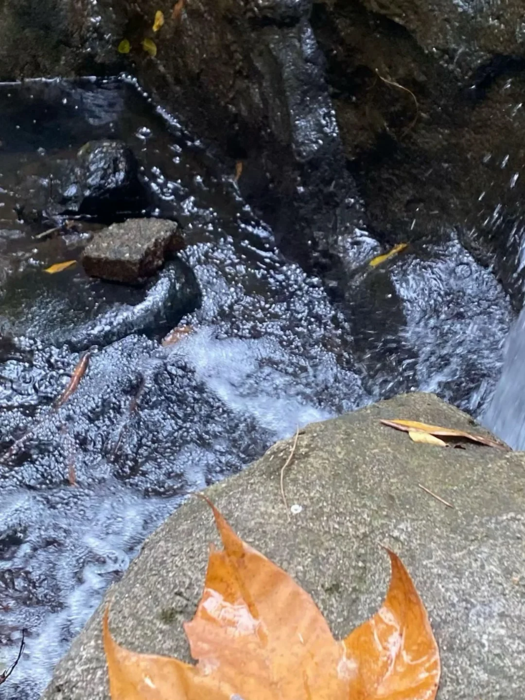 登山、溯溪的季节🍂
