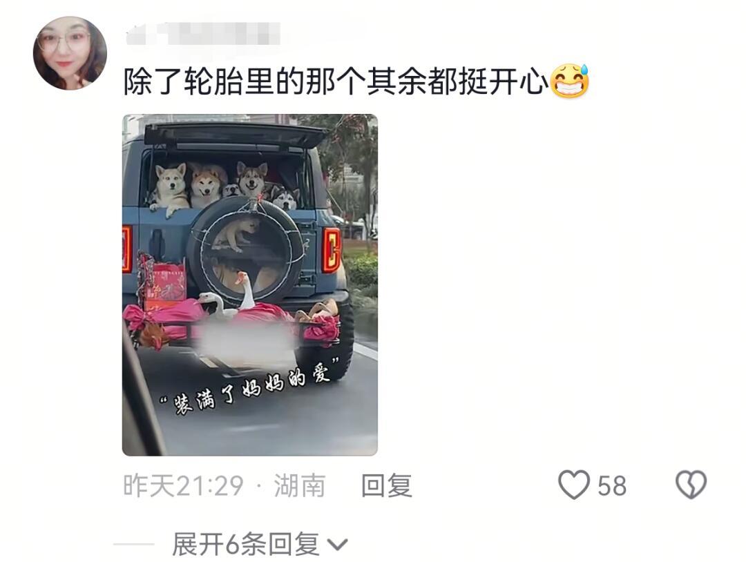 返工带的特产都这么抽象的吗 