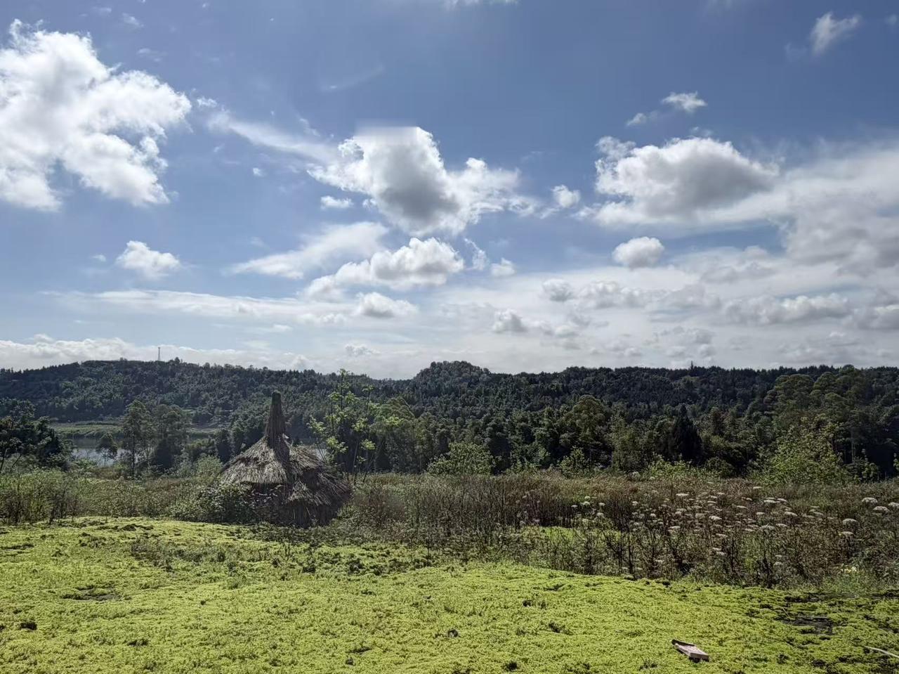 今年春天最想实现的心愿四川的春天多么漂亮，走在河边看看蓝天也是一种享受！