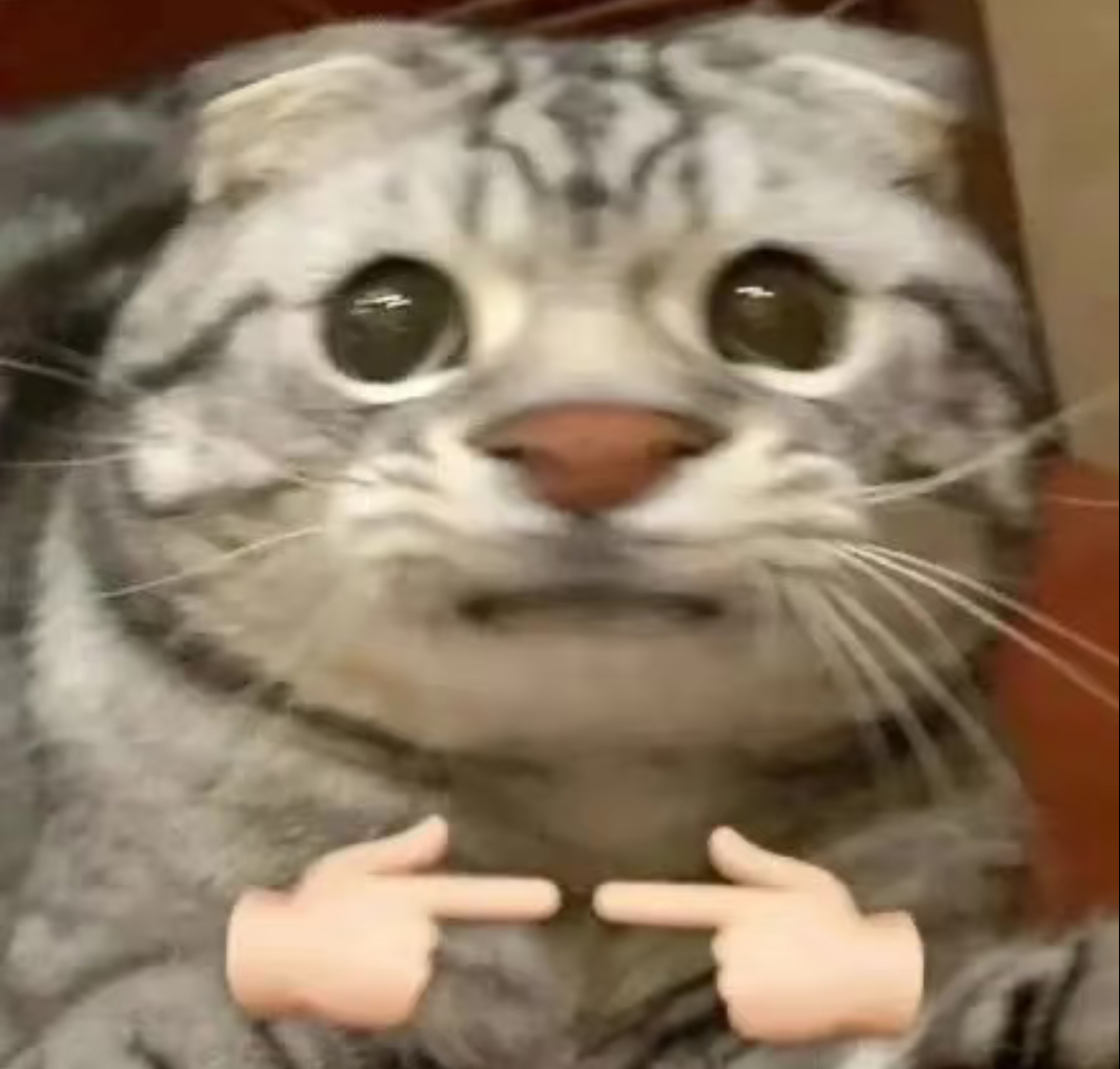 好萌啊 