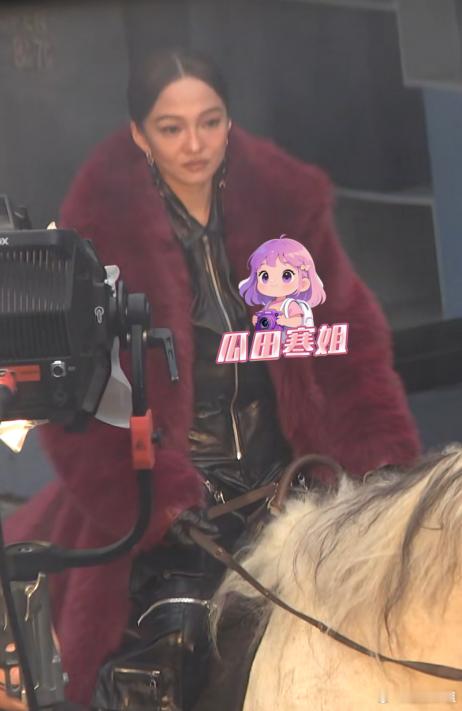 张韶涵穿貂臃肿显老 张韶涵穿着貂绒大衣拍摄，灯光照射下显得法令纹好明显，整个人看