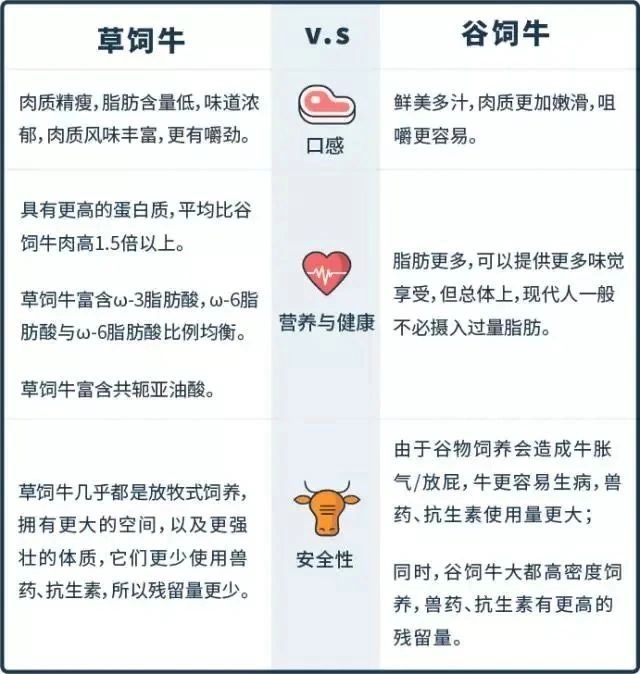 你不知道的牛肉的那些事㊙️