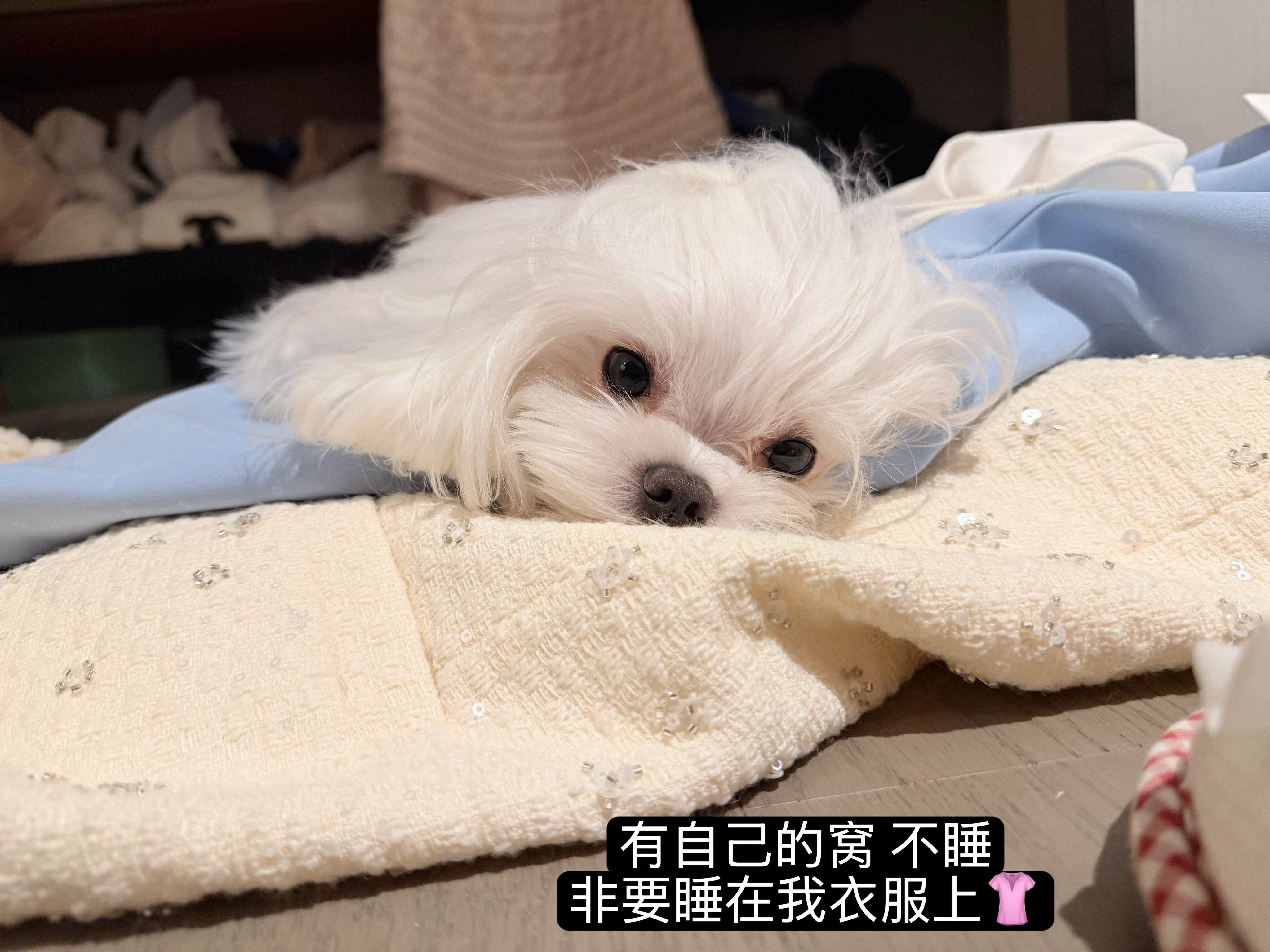 晚安安🫶[许愿星]明天又是认真工作的一天！ ​​​