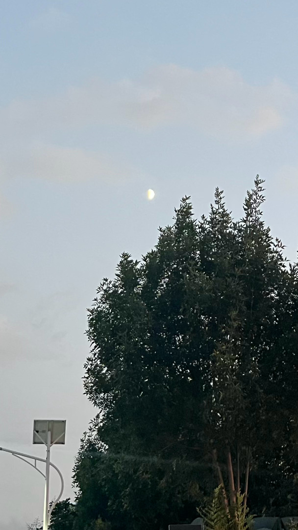 🌙 