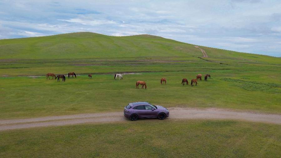 6月底提了问界新M5 Ultra之后，我这个10年本龄的新手司机在7月底开它来了