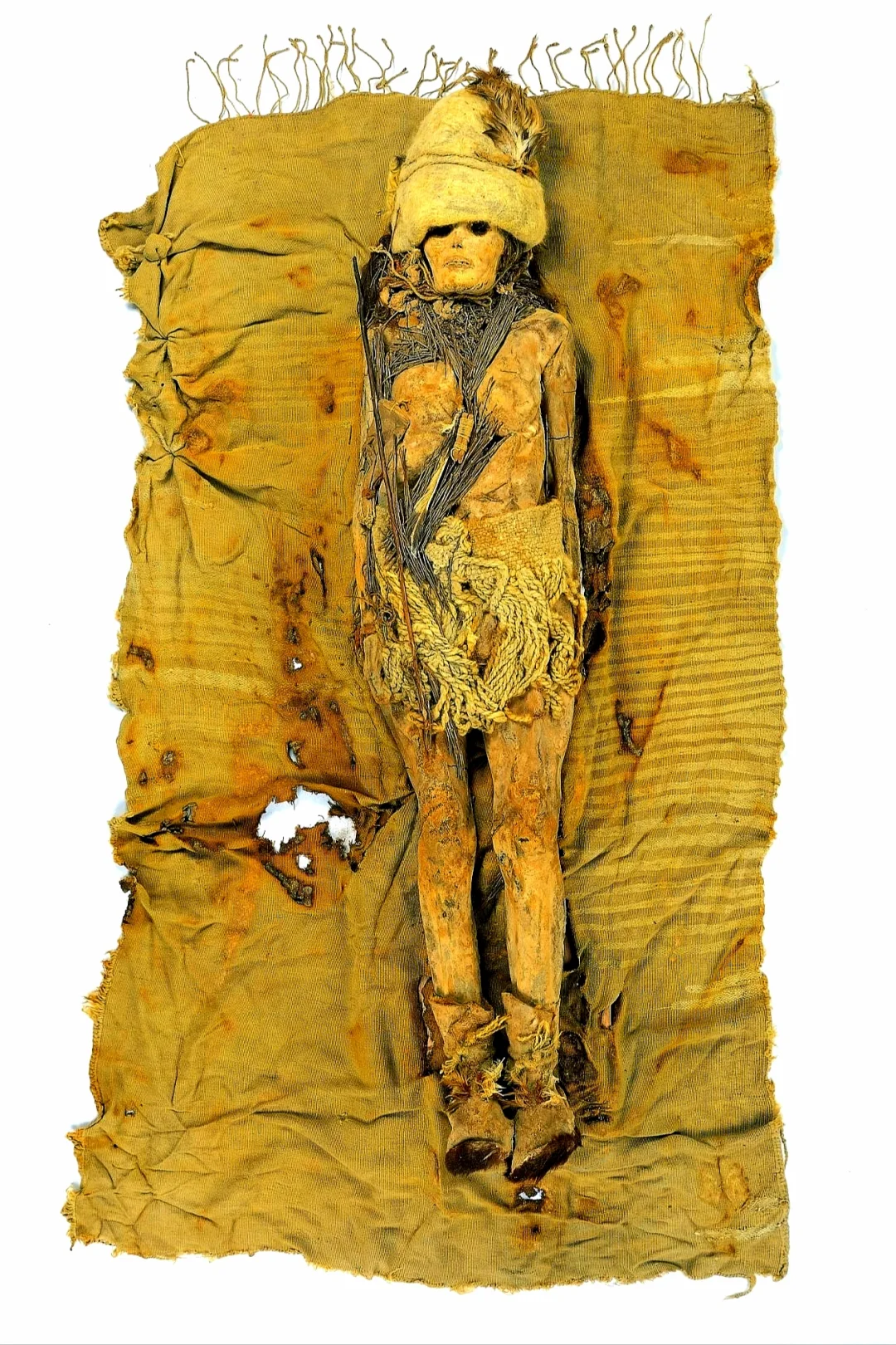 混血觉美的小河公主在沙漠里沉睡了4000多年