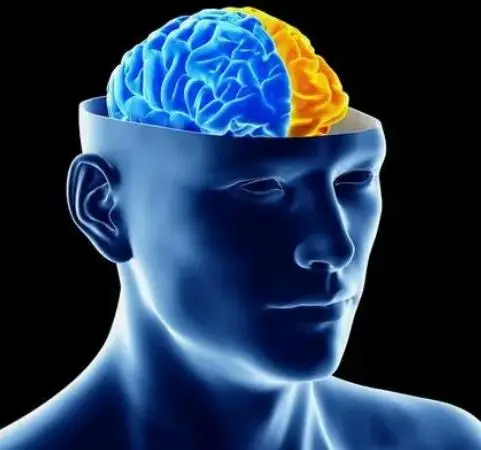 最近老阿姨经常忘东忘西，自嘲要得老年痴呆了。据研究调查显示，当人的年龄每增加5岁