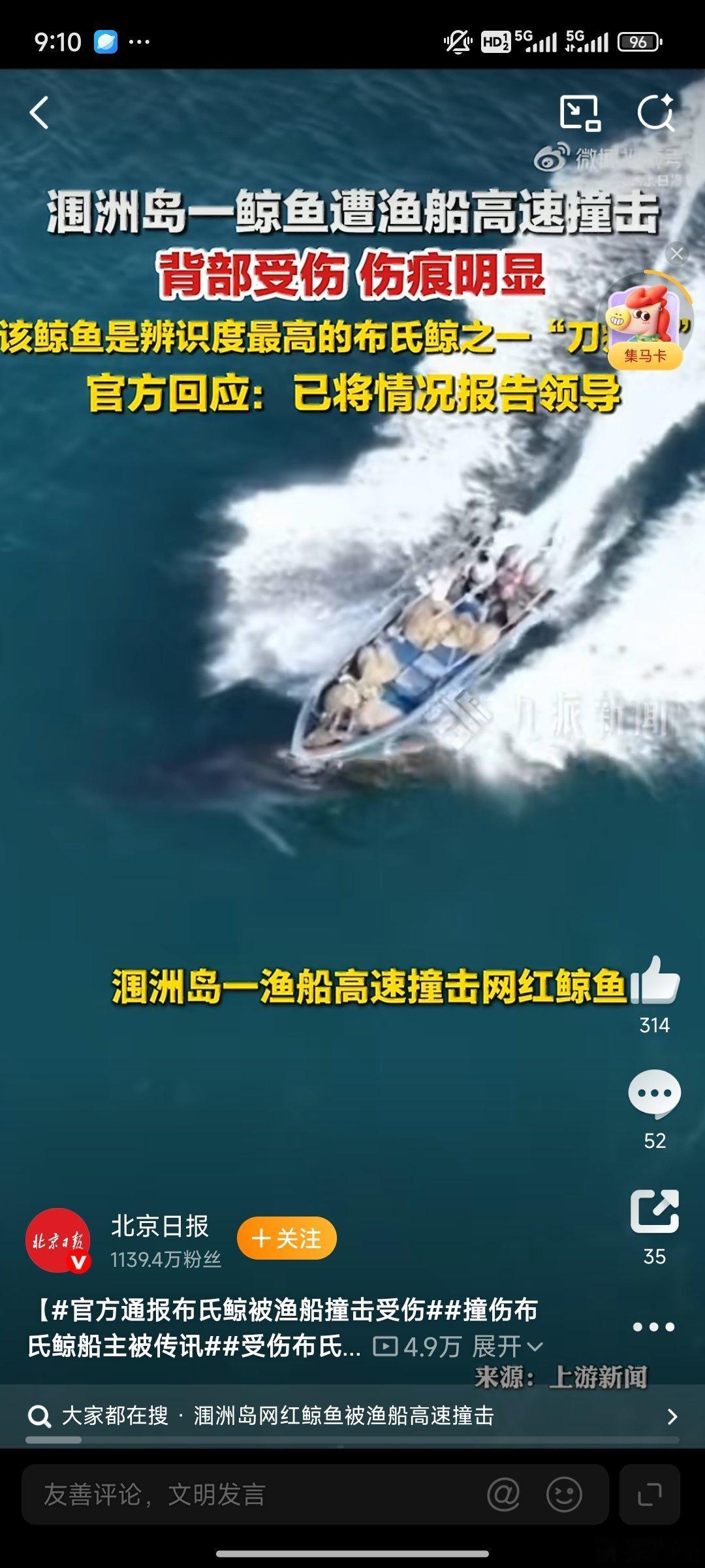 官方通报布氏鲸被渔船撞击受伤布氏鲸是国家保护动物，这么温顺的海洋精灵被撞伤，看得