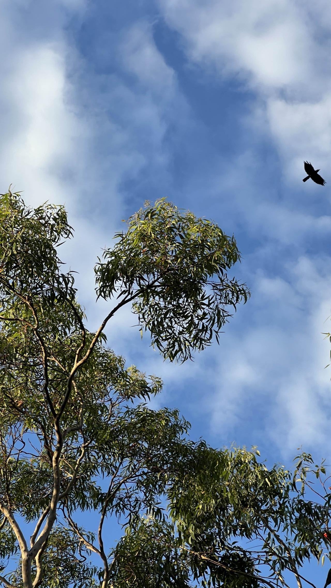 宗萨仁波切这番关于修行和愤怒的话太有深意了。修行不是压抑，就像面对愤怒，强忍或爆