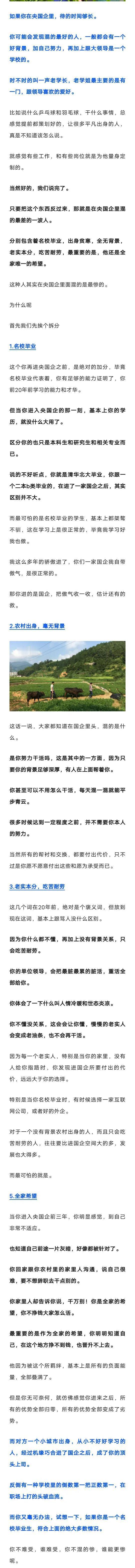 央国企混的最惨的一波人特点：名校毕业，农村出生，毫无背景，全家希望