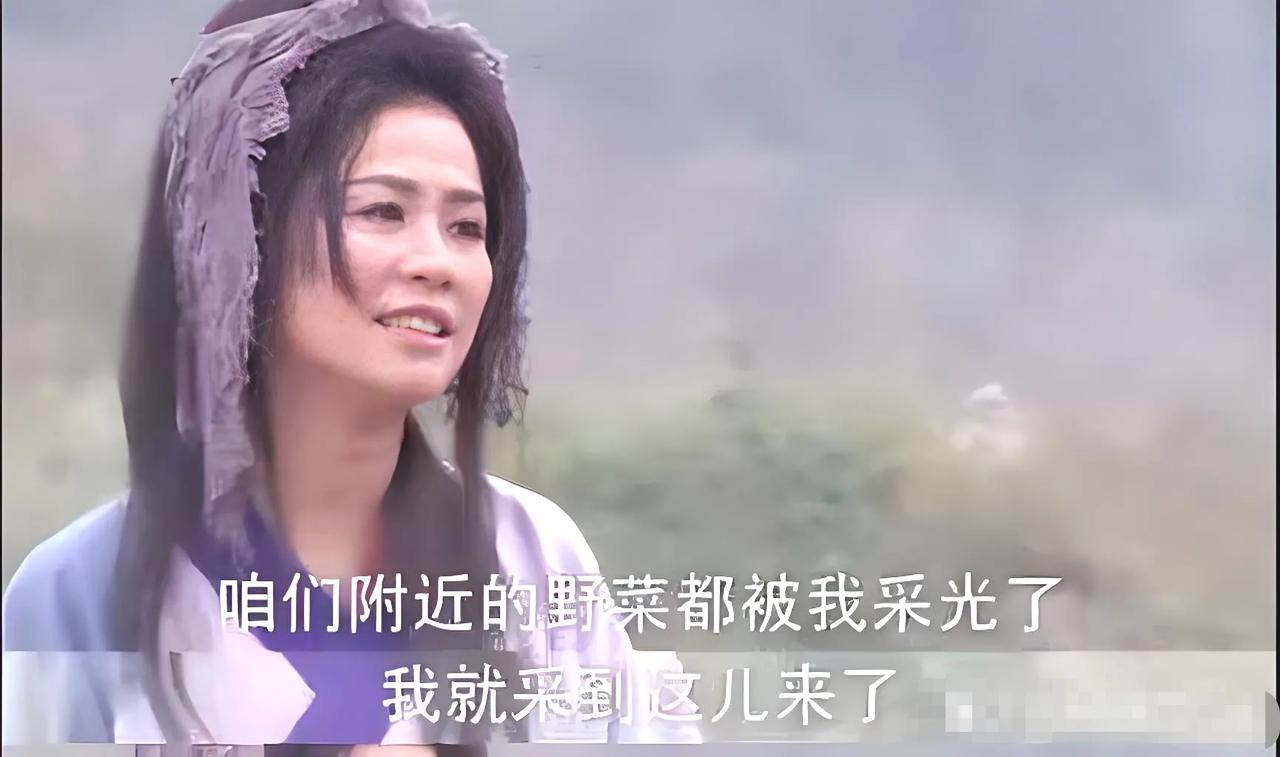 一直不明白，王宝钏一众人，有手有脚为啥不去工作，反而破衣烂衫，天天挖野菜吃！
