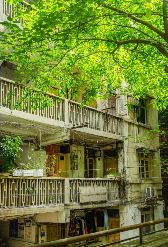 山城的夏日时光 