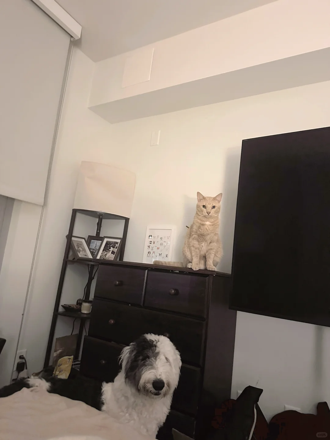 嘴上说着松弛，实际周六已bill十一小时…